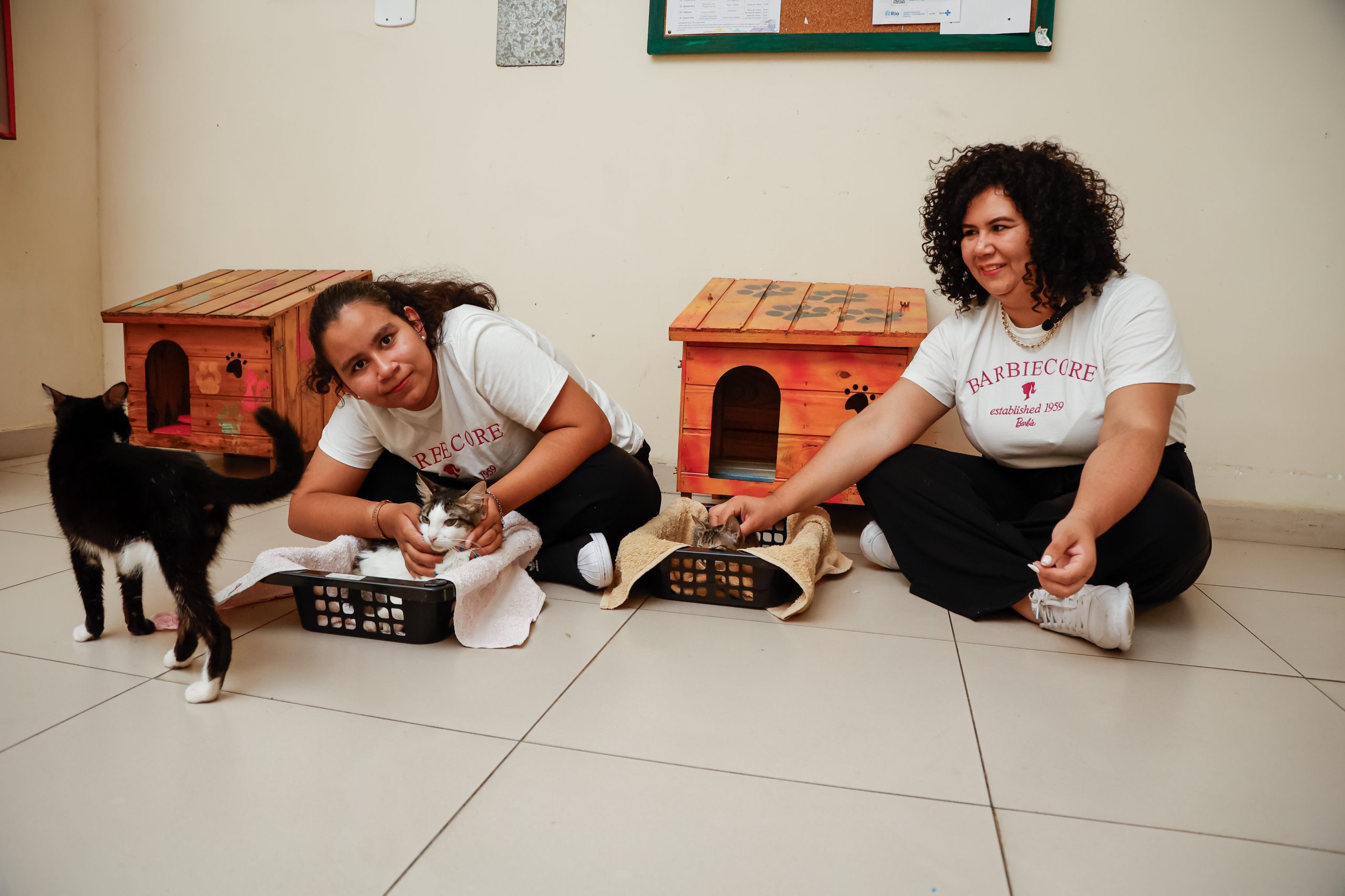 Instituto Nise da Silveira realiza projeto terapêutico com gatos - Prefeitura da Cidade do Rio de Janeiro