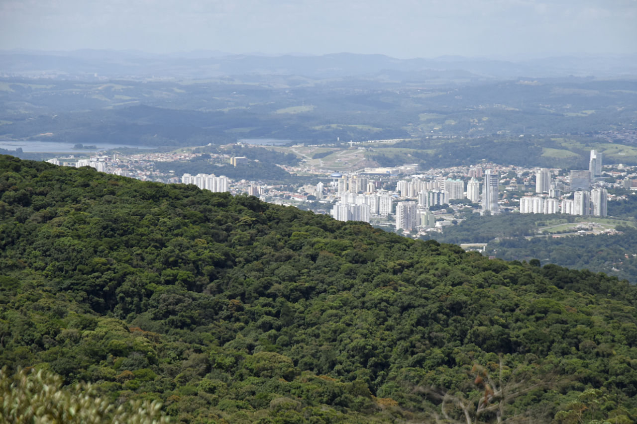 Inscrições para o Conselho de Defesa do Meio Ambiente (COMDEMA) estão abertas