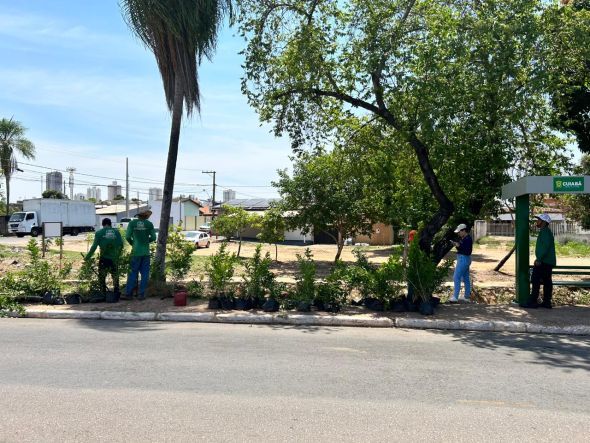 Prefeitura de Cuiab | Marco Regulatrio da Arborizao: Cuiab supera ndice recomendado pela ONU