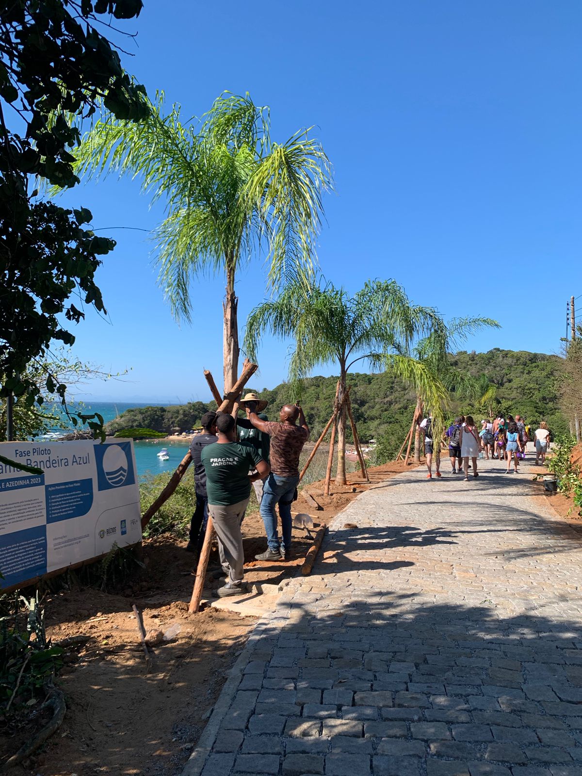 Plantios de mudas nativas marcam uma nova fase na Praia Azeda