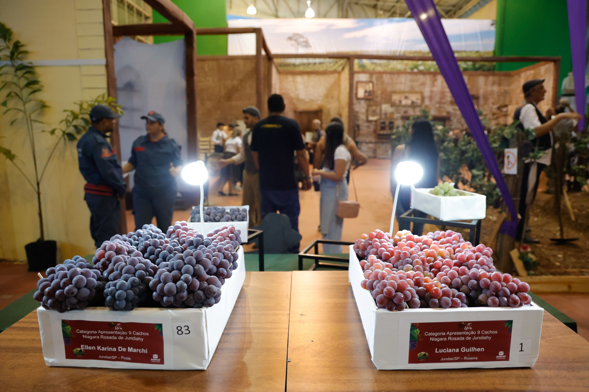 Exposição de Frutas da Festa da Uva vai premiar agricultores com R$ 22 mil