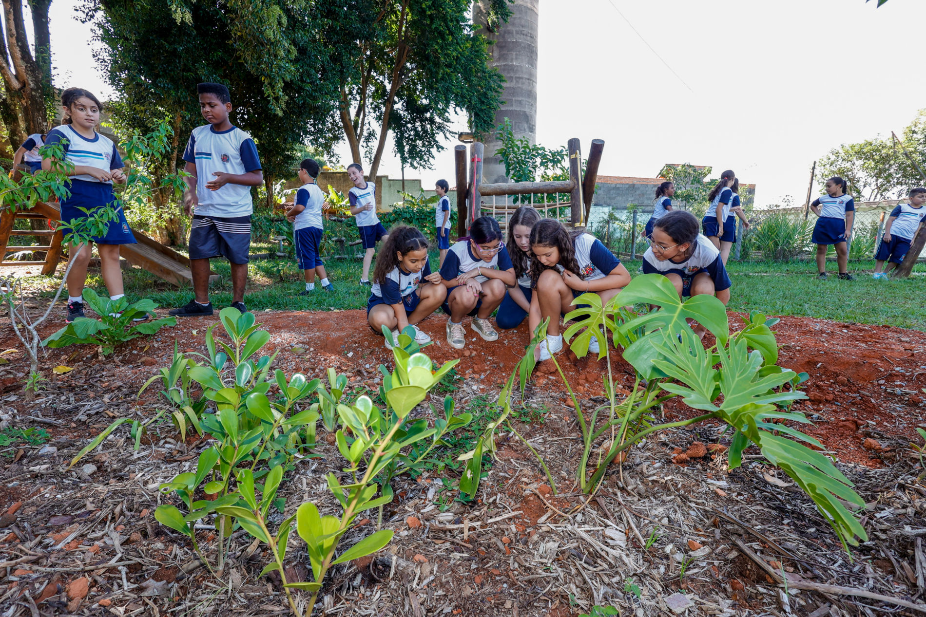 Jardins de Chuva do Projeto RenovAção já estão implementados em escolas