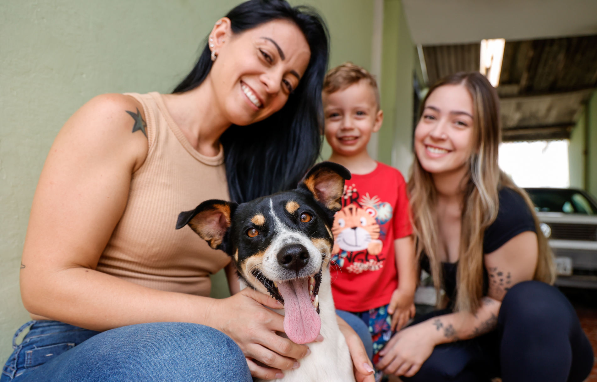 Prefeitura de Jundiaí amplia serviço de castração gratuita para pets em 2024