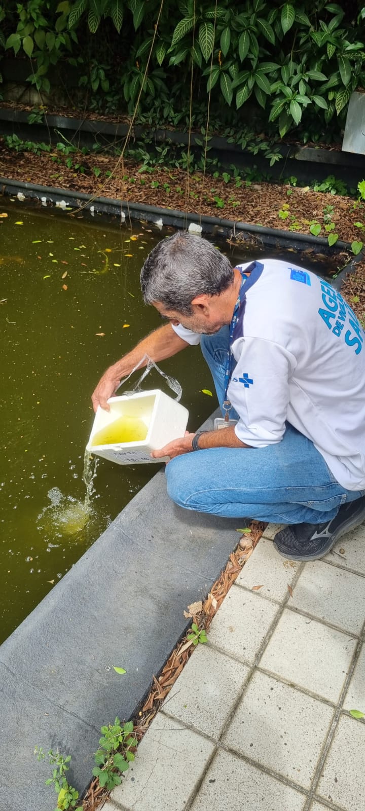 Prefeitura do Rio faz entrada compulsória em propriedade desocupada em São Conrado para combater focos de dengue - Prefeitura da Cidade do Rio de Janeiro