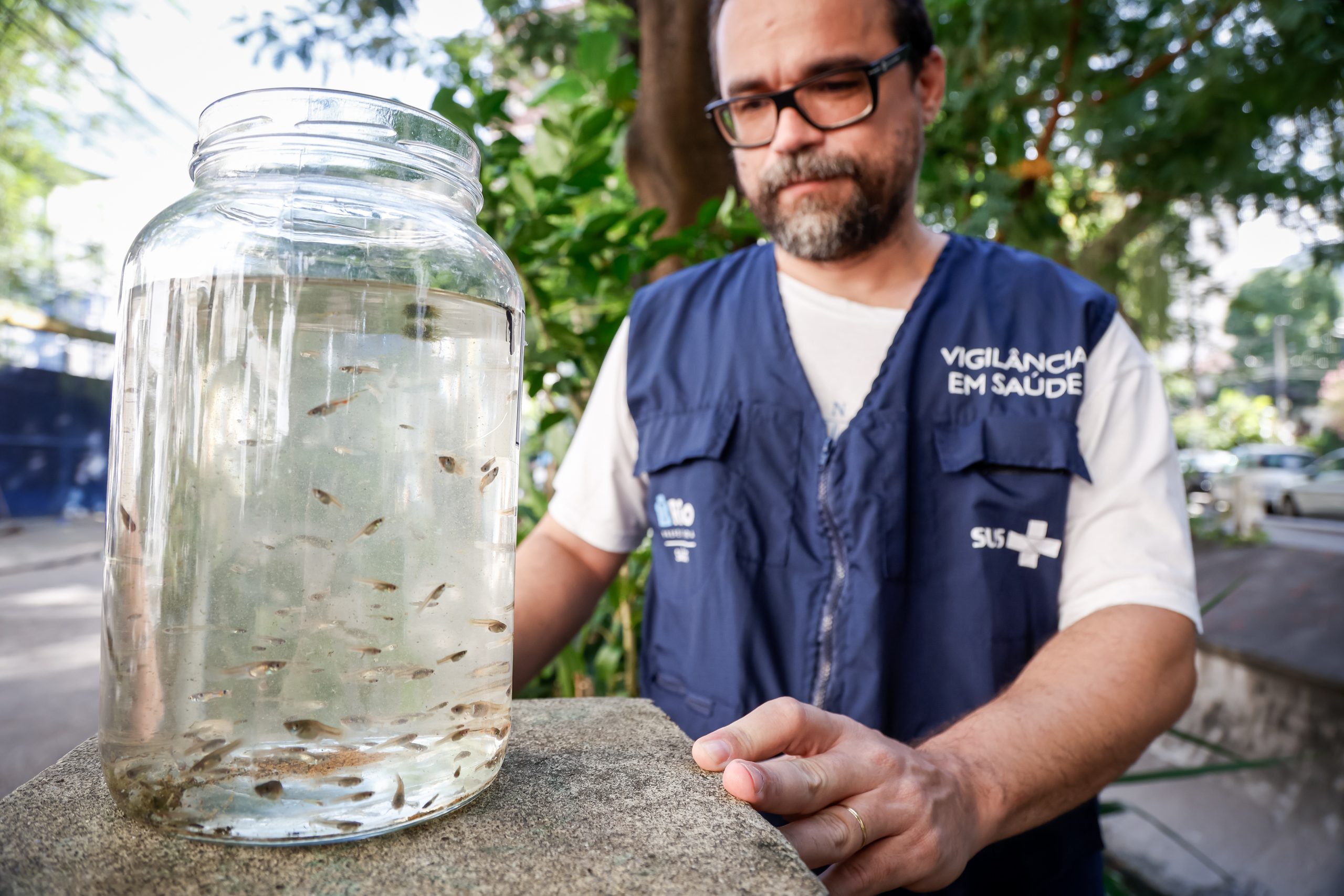 Rio utiliza peixes barrigudinhos no combate à dengue - Prefeitura da Cidade do Rio de Janeiro