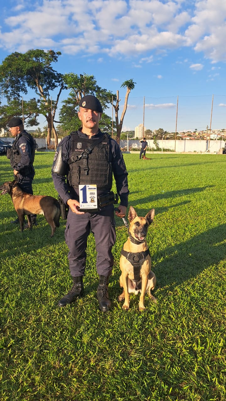 1º LUGAR: Com 20 anos, Canil da GMJ é campeão no torneio de Cães Policiais, em Monte Mor