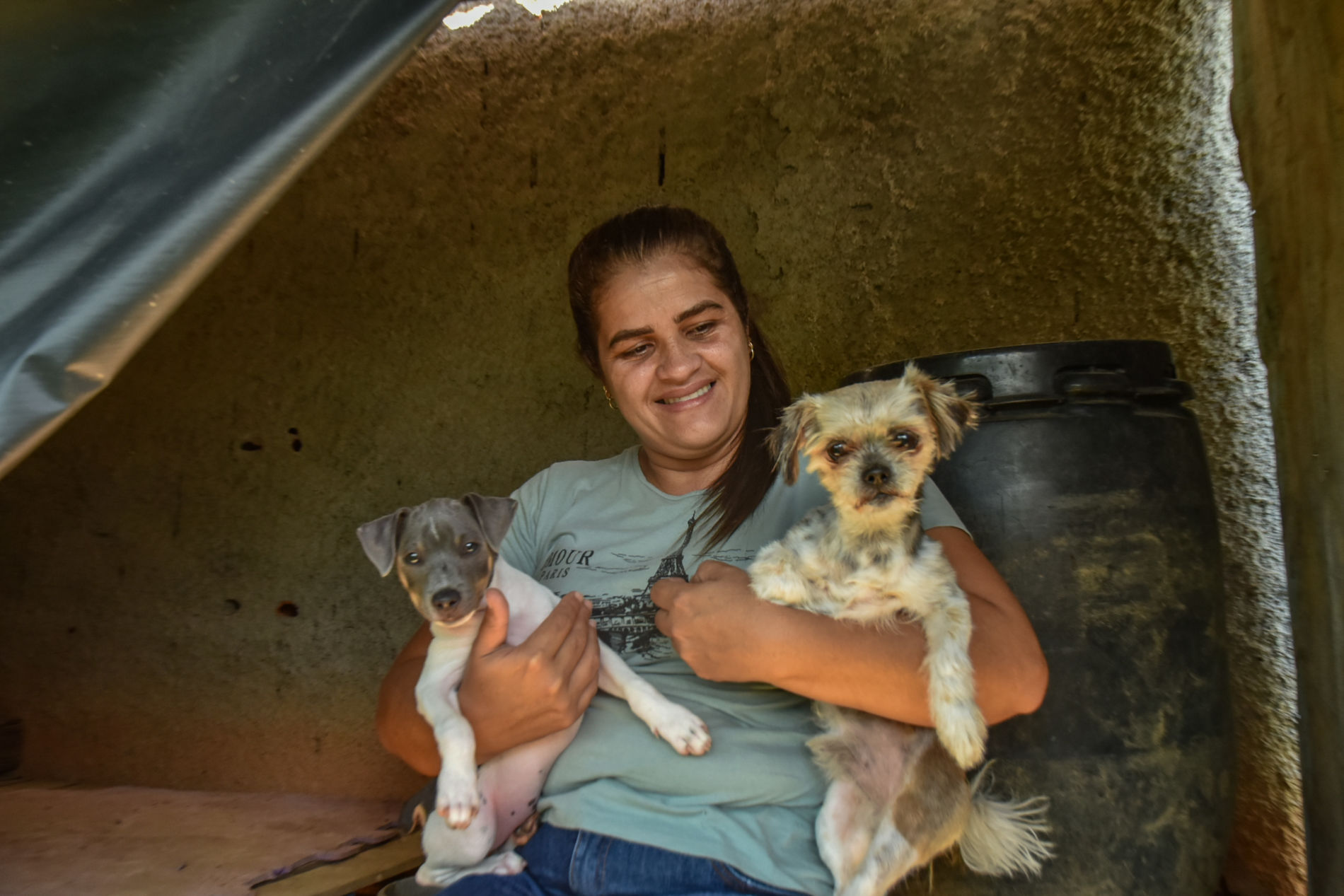 Focinho Solidário: Campanha segue com arrecadação permanente de ração para cães e gatos
